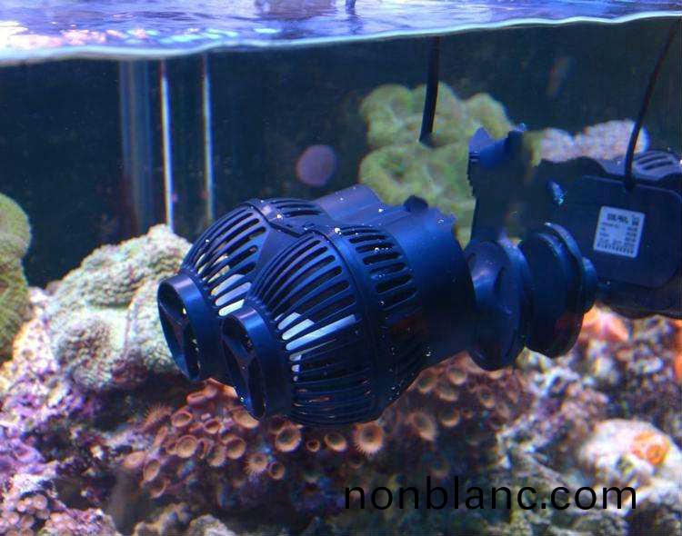 造(zao)浪泵應(ying)該(gai)選用(yong)哪(na)一(yi)種電機(ji)