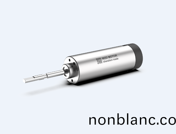 掃振電動(dong)牙刷無(wu)刷伺(ci)服電機解決(jue)方案(an)