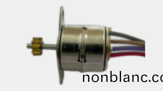 OT-SM08P-010步(bu)進電(dian)機(ji)